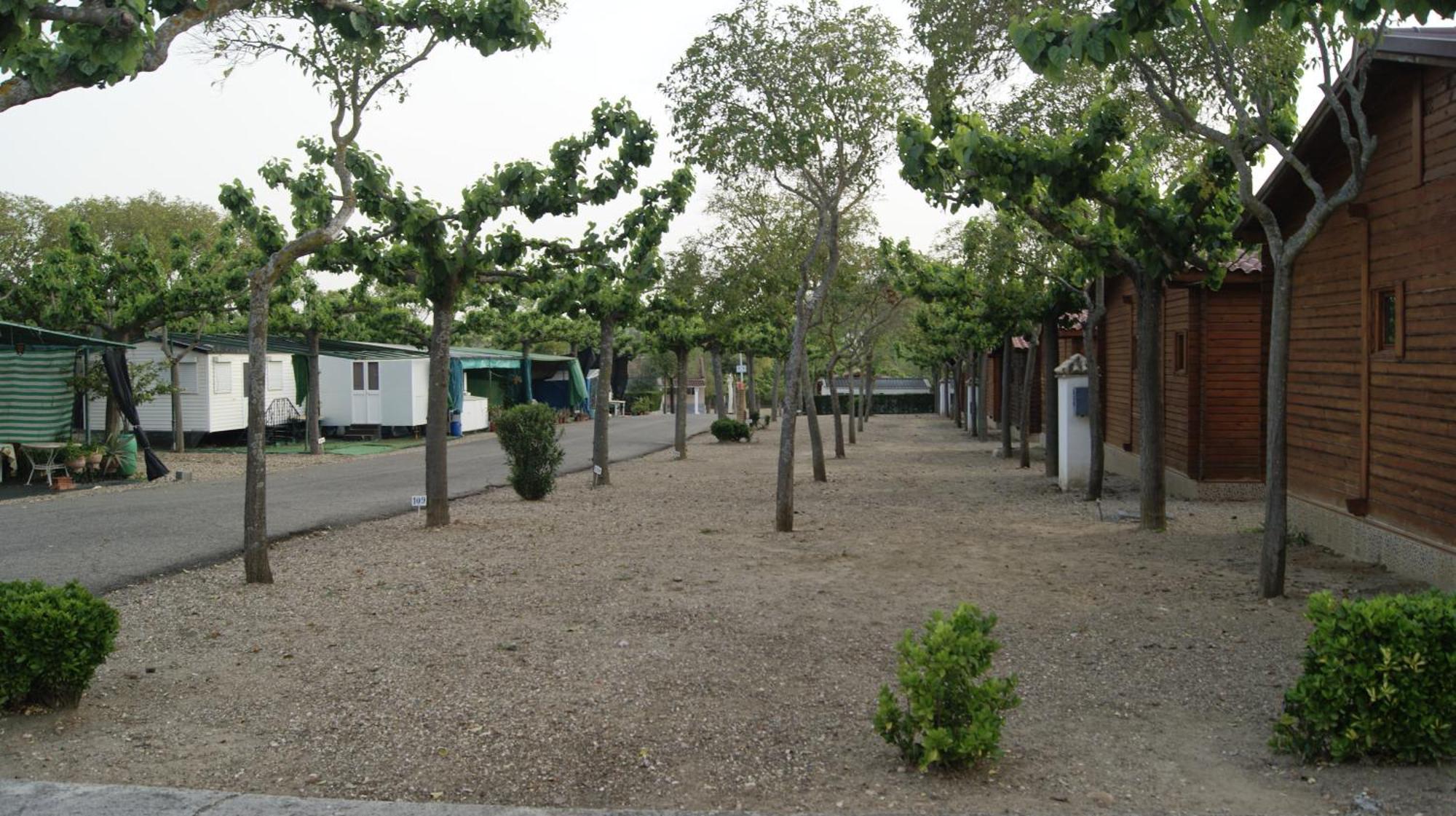 Camping Carlos III La Carlota Bagian luar foto